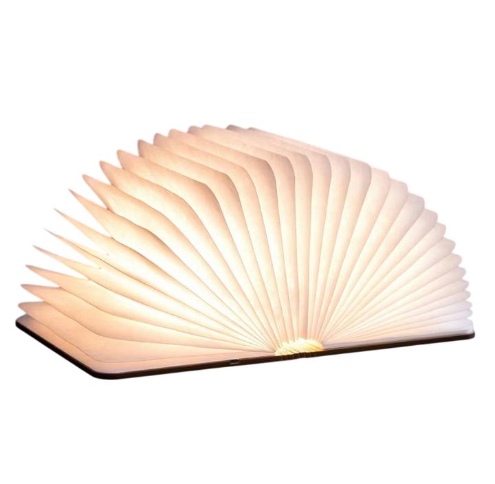 Actual product image Gingko smart book