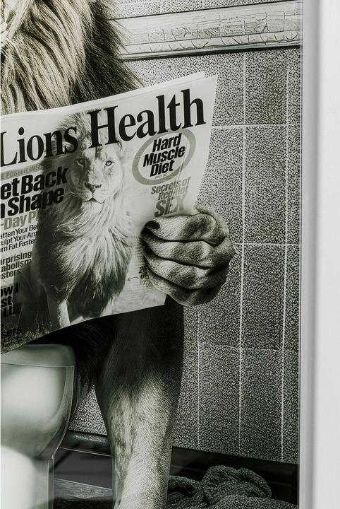 Produktbild Kare Design Glasbild Bath Lion 60x80cm (60 x 80 cm)