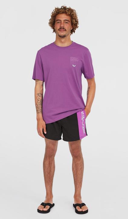 Actual product image O'Neill RETRO 14" SWIMSHORTS (L)