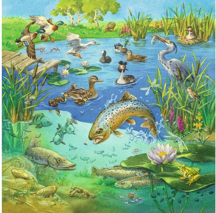 Produktbild Ravensburger Tiere in ihren Lebensräumen (49 Teile)