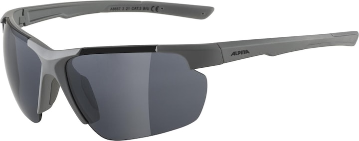 ALPINA SPORTS Defey HR (Moon-grey matt, Silber)