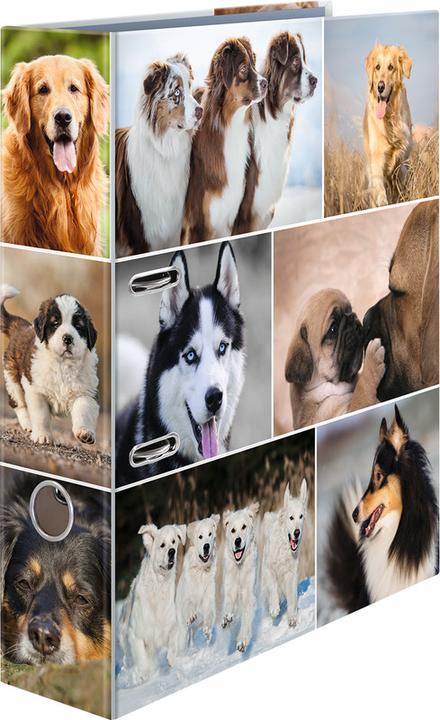 Actual product image HERMA A4 folder motif (A4, 70 mm, 1 pcs.)