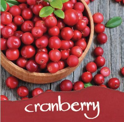 Produktbild Online Tintenglas 15ml Duftend (Rot, 1 Stk.)