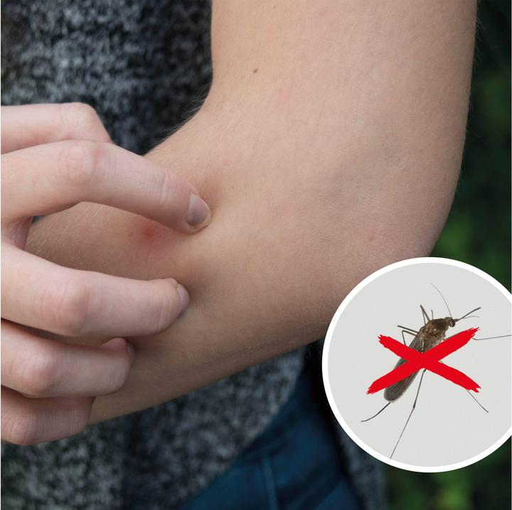 Produktbild Gardigo UV-Insektenfänger 0.7 W UV-Ste