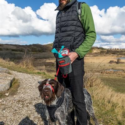 Immagine prodotto KONG Ritiro (Cane da snack)