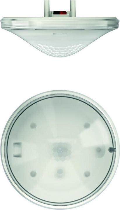 White RAL number (similar): 7005