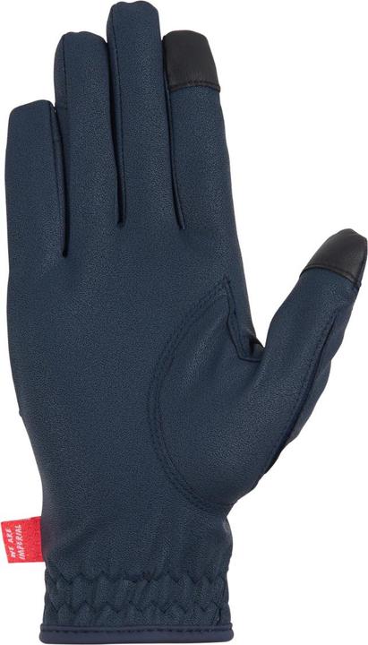 Produktbild Imperial Riding The Basics (XXL)