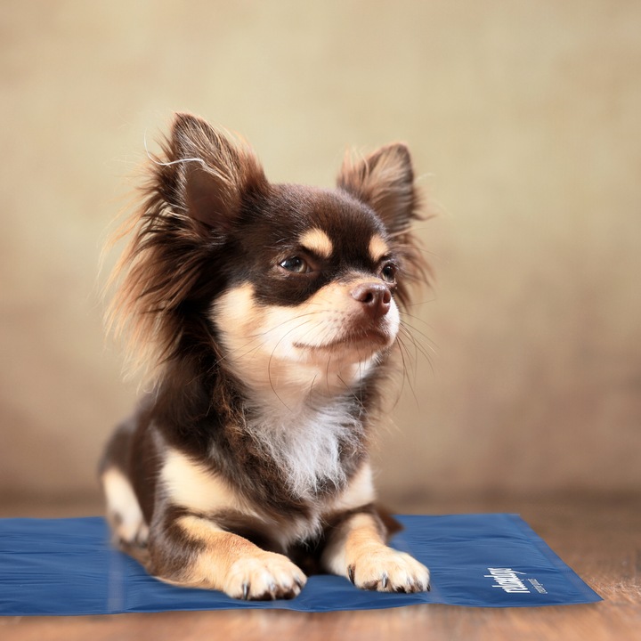 Image du produit Relaxdays Tapis de refroidissement (Chien, Chat)