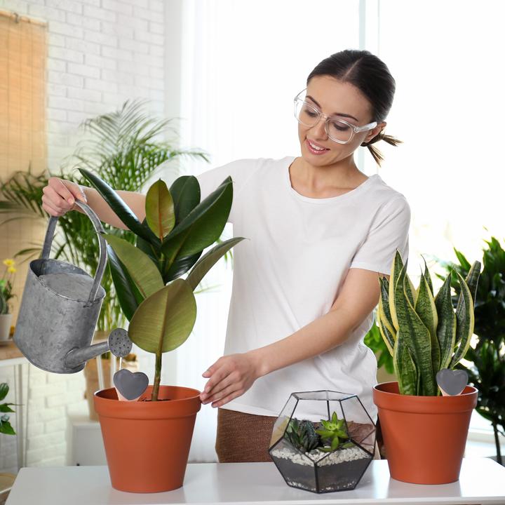 Produktbild Relaxdays 4x Tonkegel (Tonkegel Bewässerung)