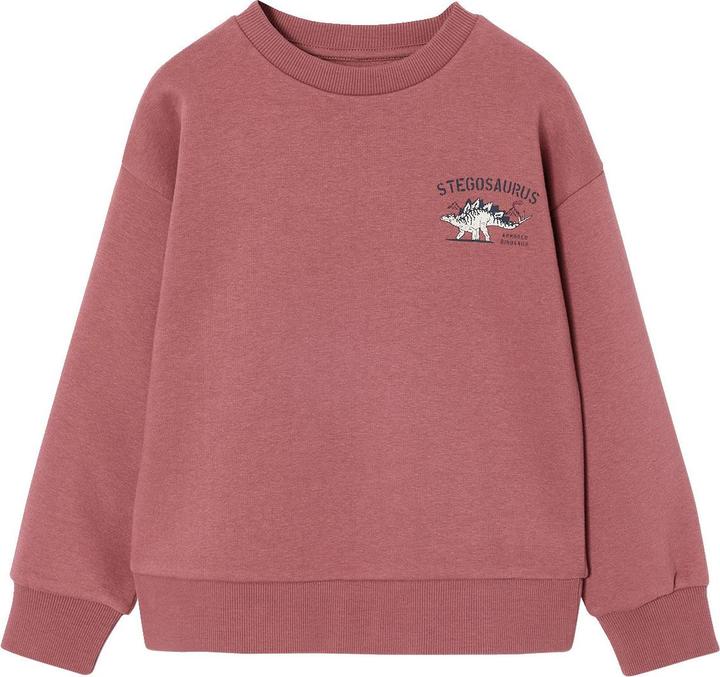 Produktbild Vertbaudet 2er-Pack Sweatshirts Cool & Fun Jungen (128)