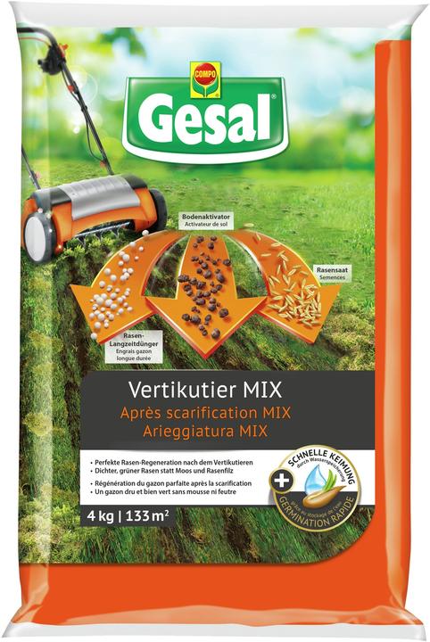 Gesal Arieggiatura MIX (Risemina del prato)