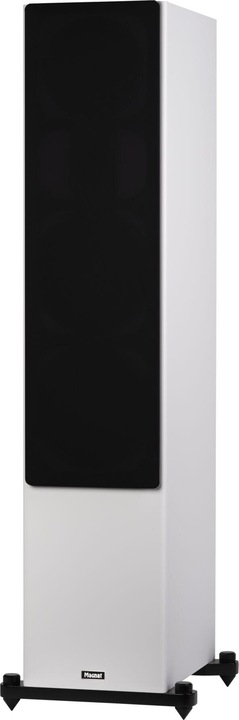 Image du produit Magnat Signature 809 (1 paire)