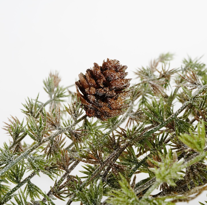 Actual product image DPI Larch branch, iced with cones, L 97 cm