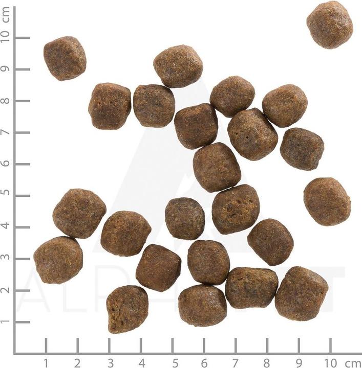 Actual product image Wolfsblut Dry food Dog Cold River, 12.5 kg (Adult, 1 pcs., 12500 g)
