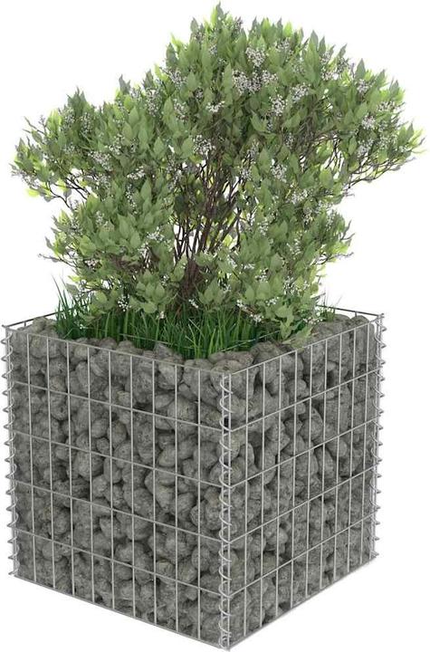 Actual product image vidaXL Gabionen-Hochbeet