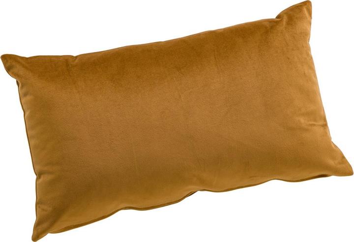 Johann Jakob Veva (30 x 50 cm)