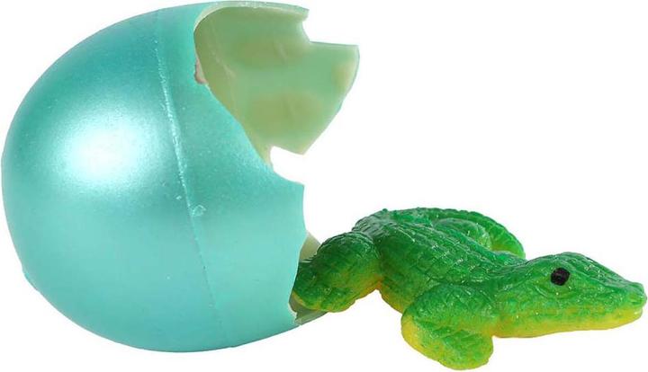 Actual product image Sombo Oeuf - Crocodile se former ass. display