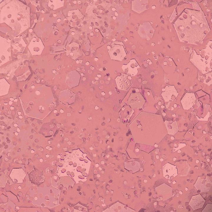 Immagine prodotto OPI Make 'Em Jelly - Servin' Pink (#Servin' Pink, Smalto)