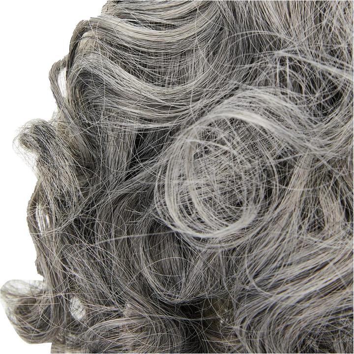 Immagine prodotto Bristol Novelty Set di barba e parrucca da mago