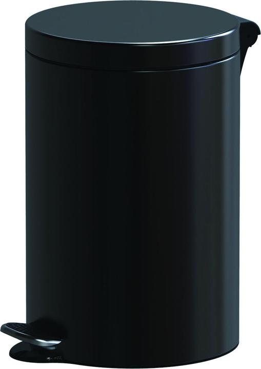 Alda ALDO šiukšlių dėžė ant pedalo juoda (AF612A-05) (12 l)
