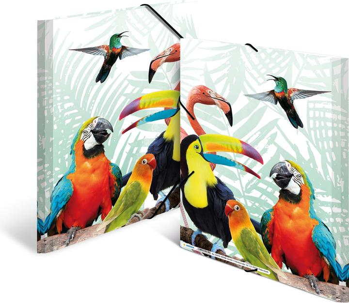 Produktbild HERMA Sammelmappe A4 Motiv (A4, 1x)