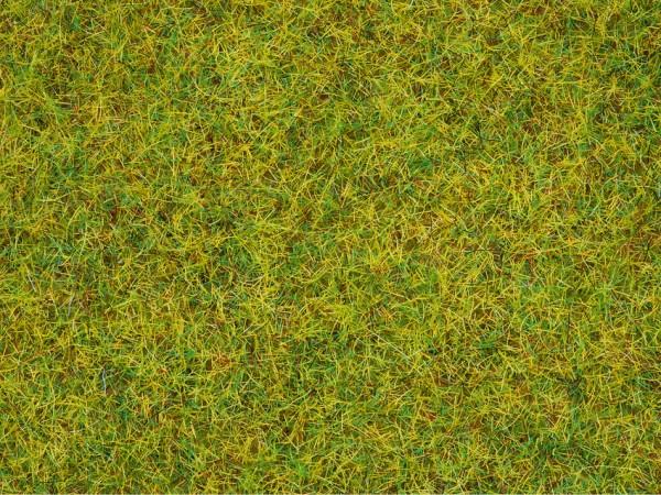 Produktbild Noch Streugras Sommerwiese 50190 Mi