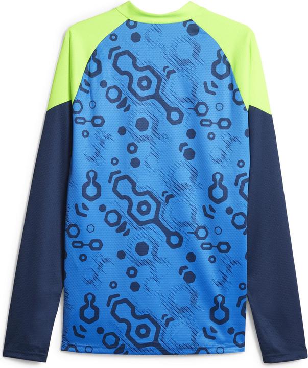 Puma individualCUP 1/4 Zip Top