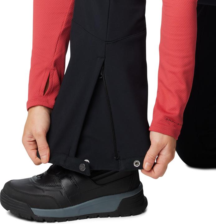 Actual product image Columbia Roffee Ridge™ VI Pant (L)
