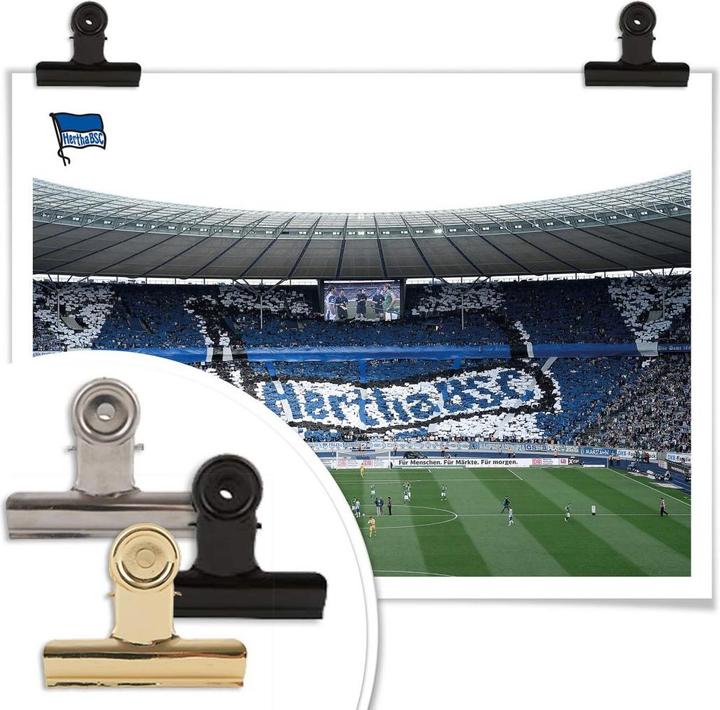 Actual product image Hertha BSC Start of the game in the stadium (60 x 50 cm)