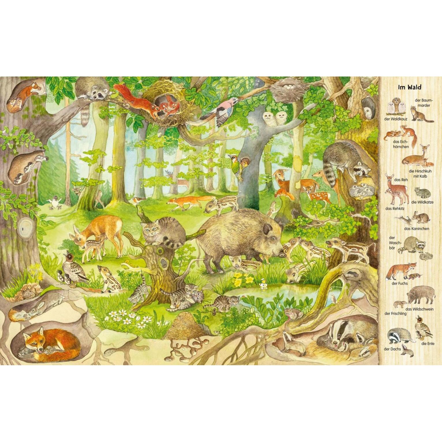 Thumbnail - Das 1000 Tiere-Wimmelbuch, Kinderbücher von Christine Henkel