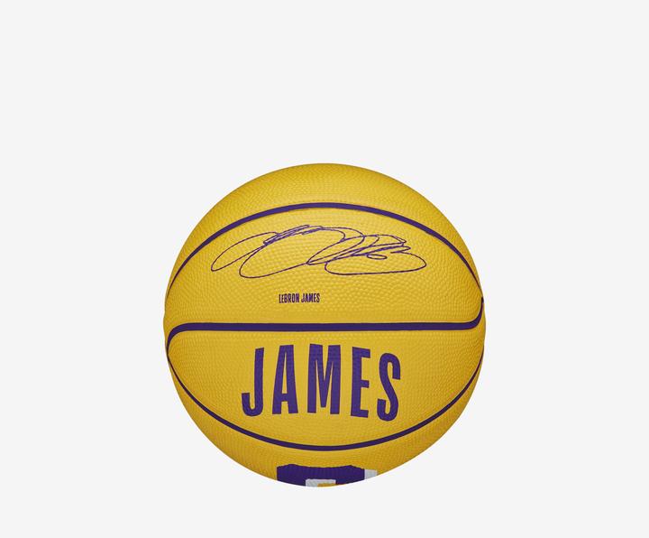 Produktbild Wilson Nba Player Icon Mini Bskt Lebron (3)