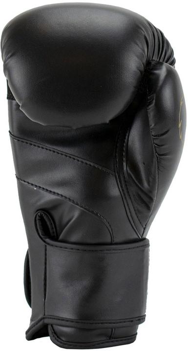 Produktbild Super Pro Combat Gear Champ SE (Kick-)Boxhandschuhe
