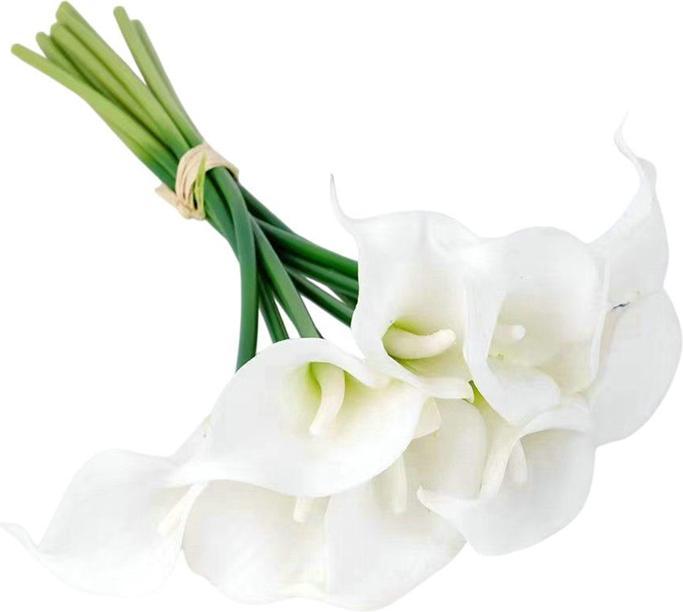 Produktbild Domoletti Calla Lily (32 cm)