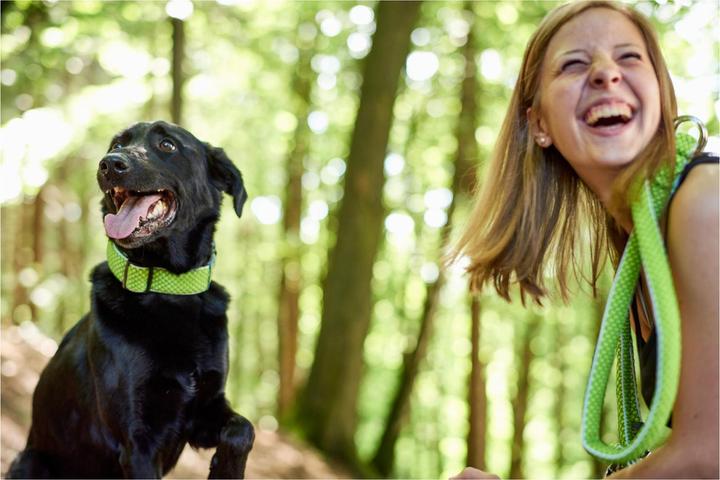 Immagine prodotto Hunter Collare per cani Hilo Vario Plus (XL, Cane, Sport cane)