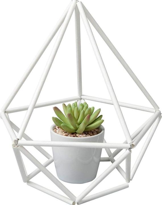 Produktbild Folia Strohhalme (25 x)