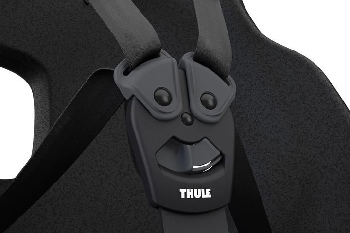 Actual product image Thule Siège d'enfant Yepp Nexxt 2 Maxi (GT) (Carrier)