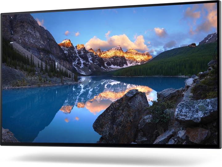 Immagine prodotto Dell UltraSharp U2422H (1920 x 1080 pixel, 23.80")