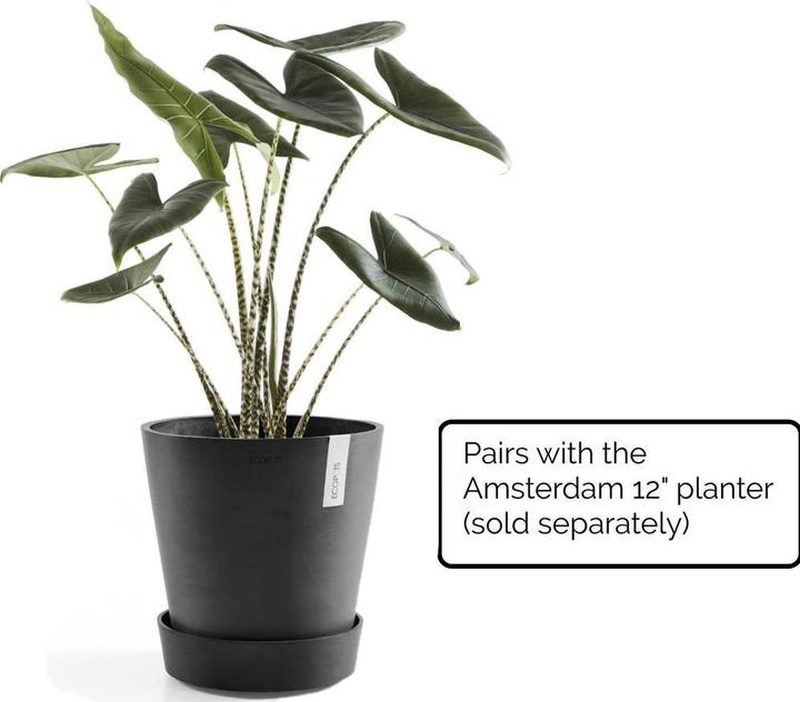 Produktbild Ecopots Untersetzer rund Rollen