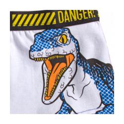Procos, Jungen, Unterhosen, Jurassic World Kinder-Boxershorts 2 Stück/Packung, Mehrfarbig, (128, 2er Pack)
