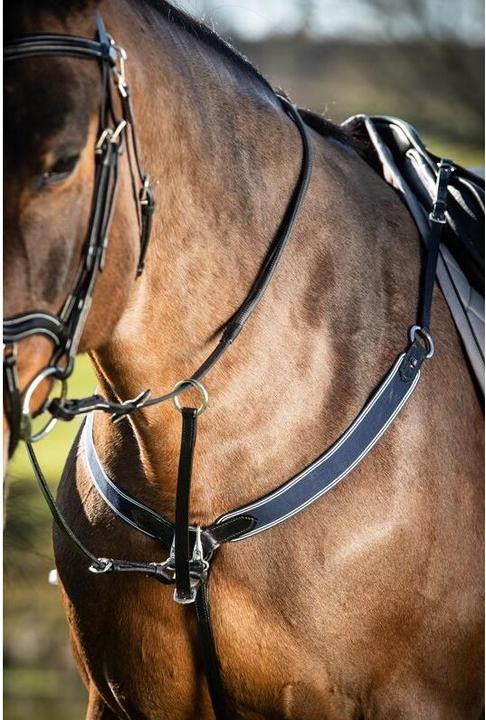 Image du produit HFI Master Collier de chasse pour cheval élastique