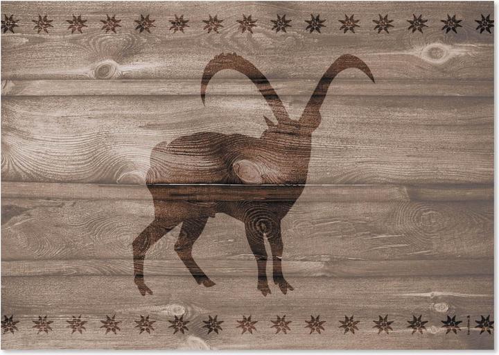 Image du produit Trendform Capricorne (42 x 29.70 cm)