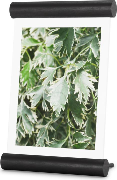 Immagine prodotto Umbra Scroll (13 x 18 cm)