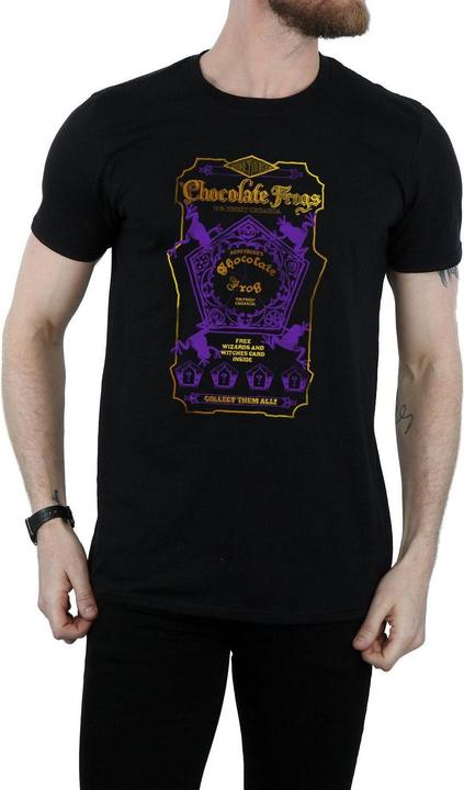 Actual product image Mens Chocolate Frogs Coloured Label T-Shirt (XL)