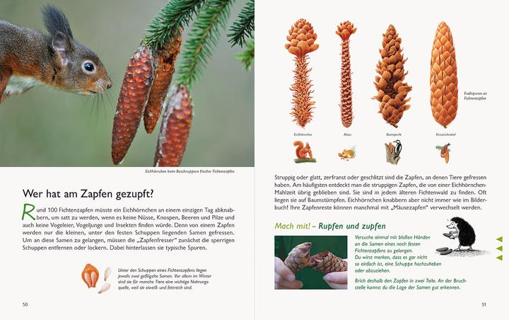 Produktbild Wawra's Naturbuch, Band 1: Säugetiere, Vögel, Reptilien, Amphibien (Deutsch, Johannes Wawra, Ursula Wawra, 2020)