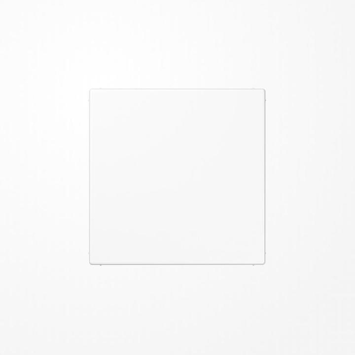 Actual product image JUNG Blind plate