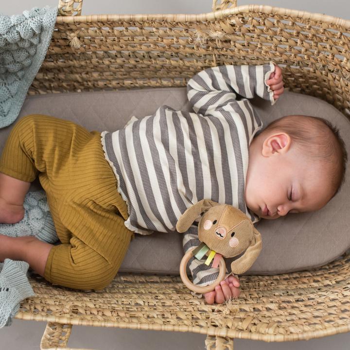 Image du produit Taf Toys Lapin Jenny