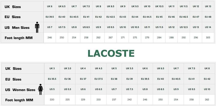 Image du produit Lacoste Court Ace 225 (42)