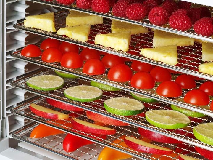 Image du produit Concept Séchoir à fruits numérique 500 W SO2050