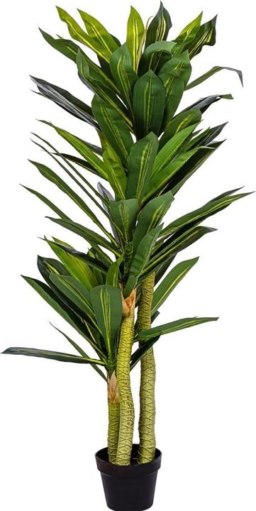 Plantasia Kunstpflanze Drachenbaum 120 cm - kaufen bei Galaxus - Galaxus