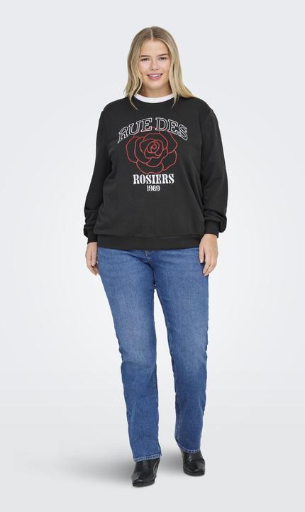 Produktbild Only CARNOMI Sweatshirt Sweatshirt (M)